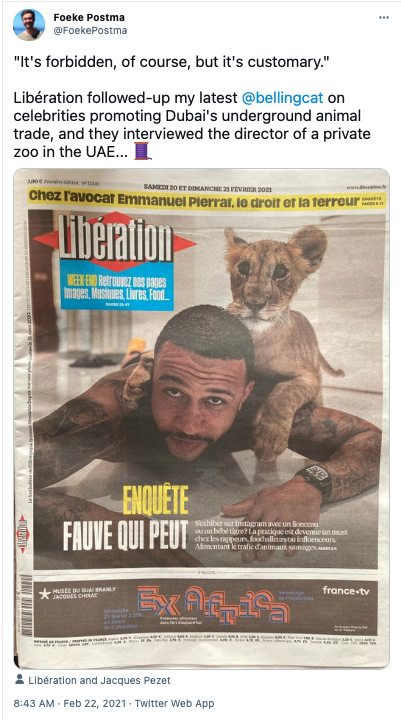 memphis depay pet lion