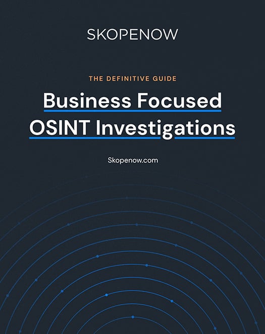 The Definitive Guide: OSINT Investigations into Businesses