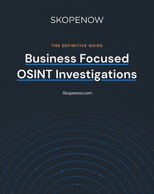 The Definitive Guide: OSINT Investigations into Businesses