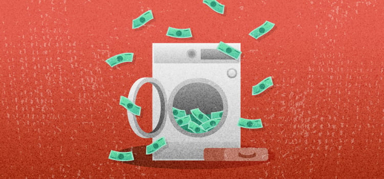 From Dirty to Clean: The Covert Networks and Techniques of Professional Money Launderers